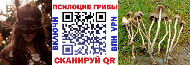 гидра ТОР  Нахабино  Псилоцибиновые грибы мухоморы 