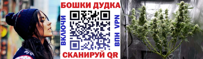 Бошки Шишки VHQ  Нахабино 